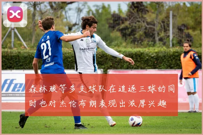 森林狼等多支球队在追逐三球的同时也对杰伦布朗表现出浓厚兴趣