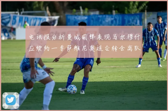 电讯报分析曼城前锋表现马尔穆什应续约一季萨维尼奥适合转会离队